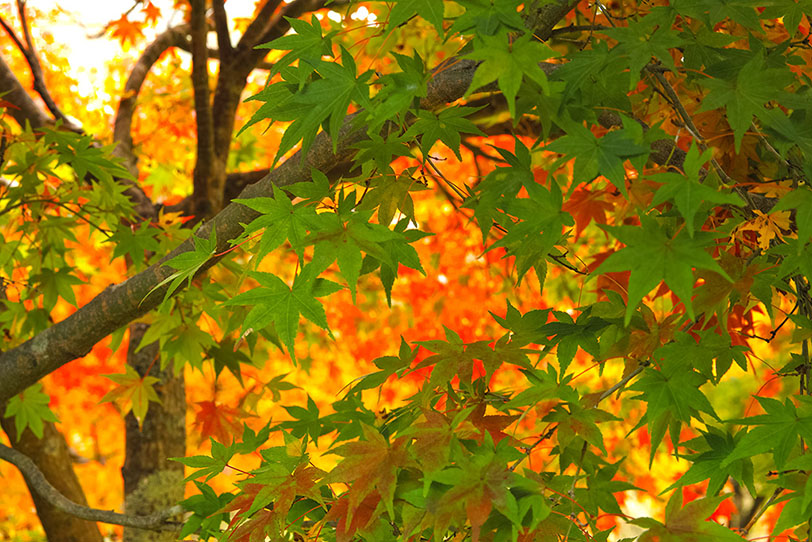 動向リンク集に関連するコンテンツについて